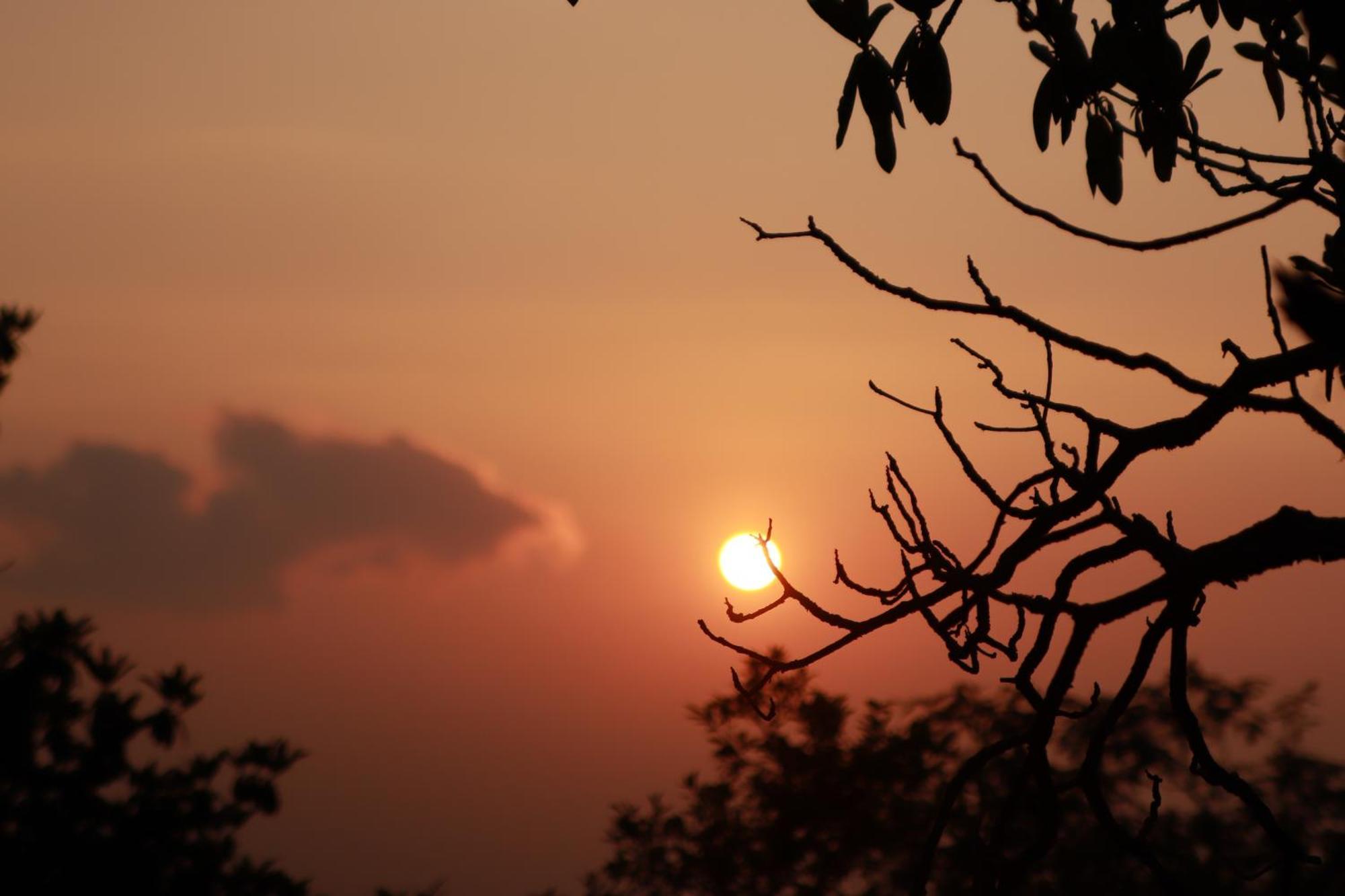 Simba Jungle Lodge, Binsar Wildlife Sanctuary Exterior foto