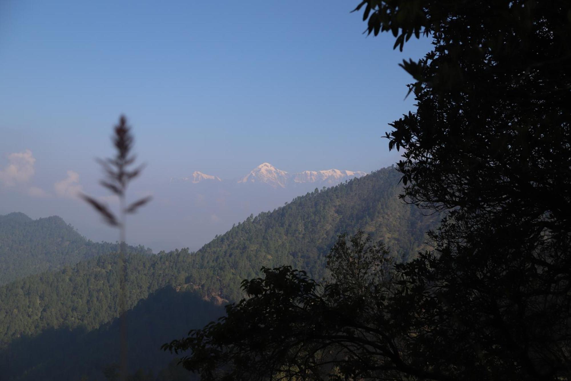 Simba Jungle Lodge, Binsar Wildlife Sanctuary Exterior foto