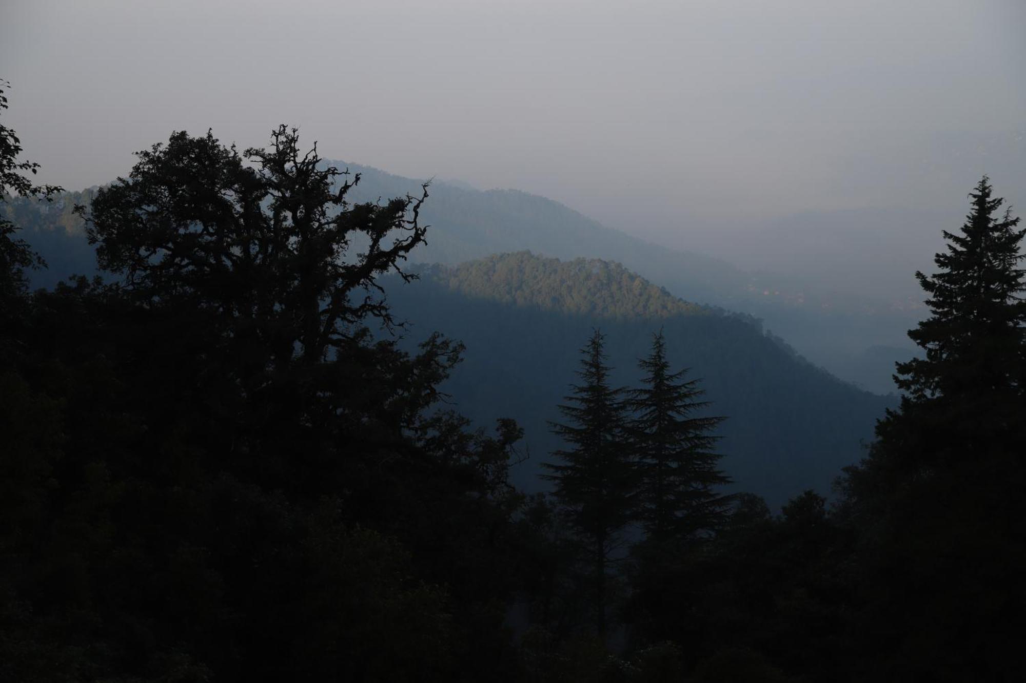 Simba Jungle Lodge, Binsar Wildlife Sanctuary Exterior foto