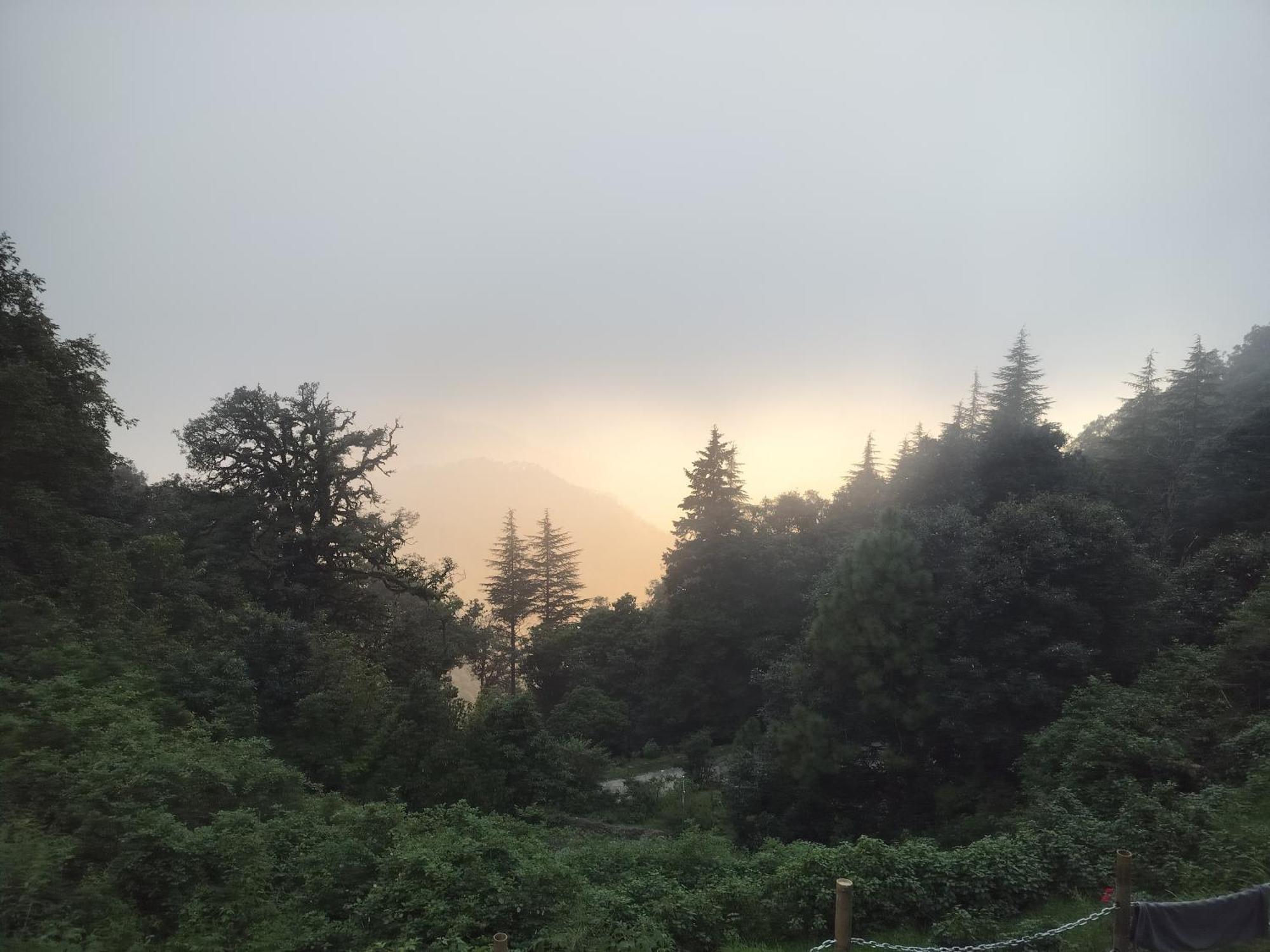 Simba Jungle Lodge, Binsar Wildlife Sanctuary Exterior foto